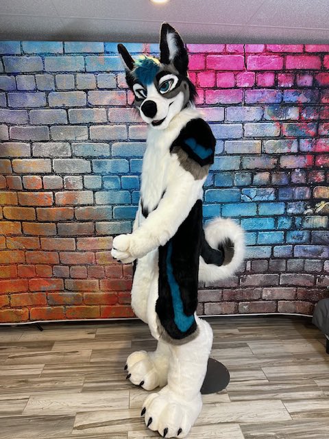 Rocky Husky tweet media