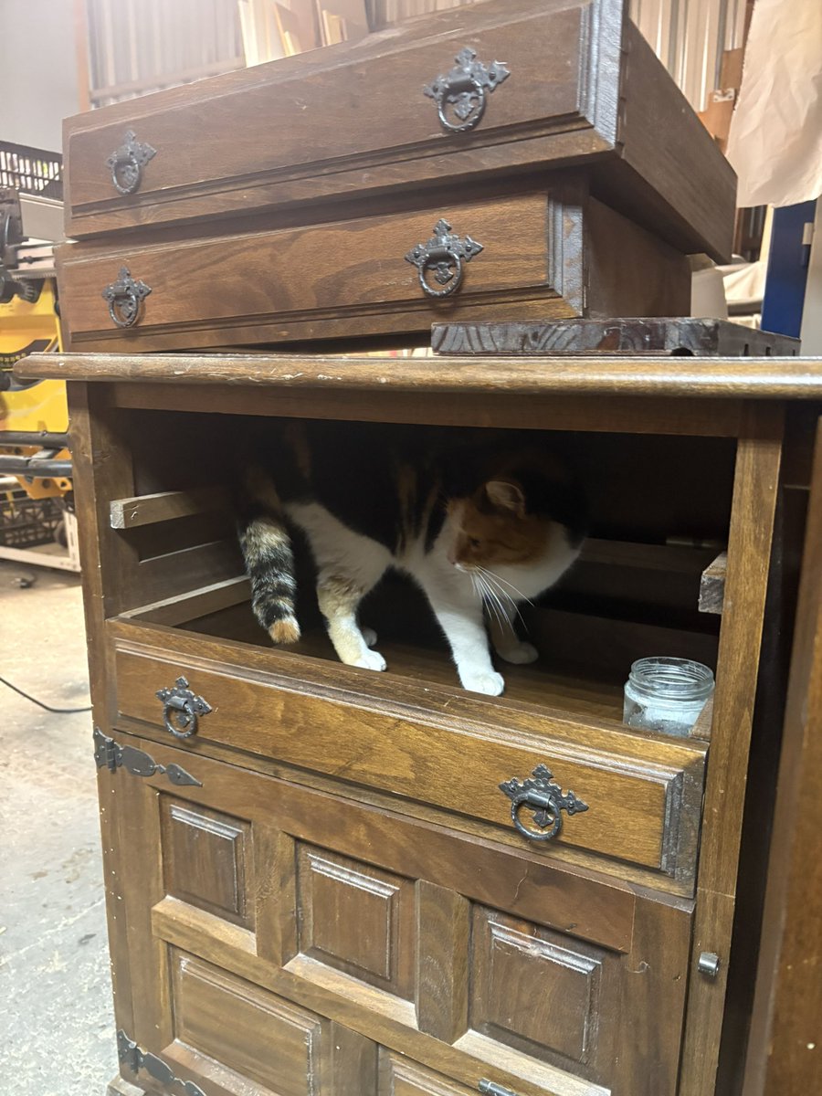 Vamos a restaurar una máquina de coser con mueble y digo vamos porque Virutas está determinada a ayudarme.