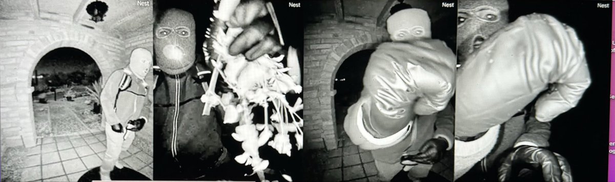 The FBI has posted 4 Nest photos of who they believe dismantled the cameras at Nancy Guthries house. Please go to your local news channel and look at them closely! #SavannahGuthrie #FBI #breakingnews #public #helping