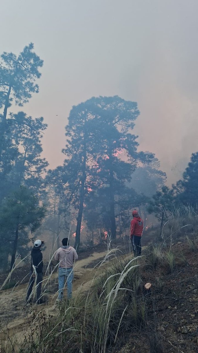 🚨 Hago un llamado urgente al <a href="/Gob_Puebla/">Gobierno de Puebla</a> y al gobernador <a href="/armentapuebla_/">Alejandro Armenta</a> para atender de el terrible incendio en #VicenteGuerrero

La prioridad debe ser proteger a las familias, al medio ambiente y a nuestros brigadistas.
Cada minuto cuenta. 🙏🏻 <a href="/aguilar_pala_S/">Samuel Aguilar Pala</a> <a href="/JLG_PARRA/">José Luis García Parra</a>