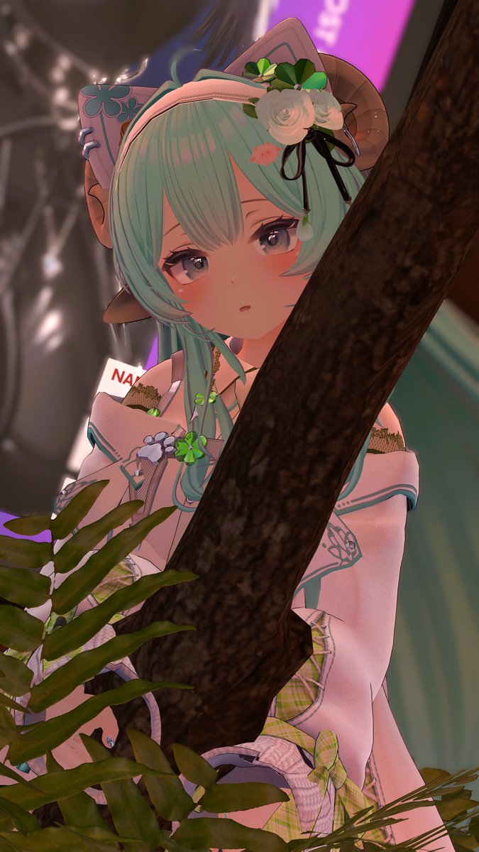 覗き見さんだーさん🌲