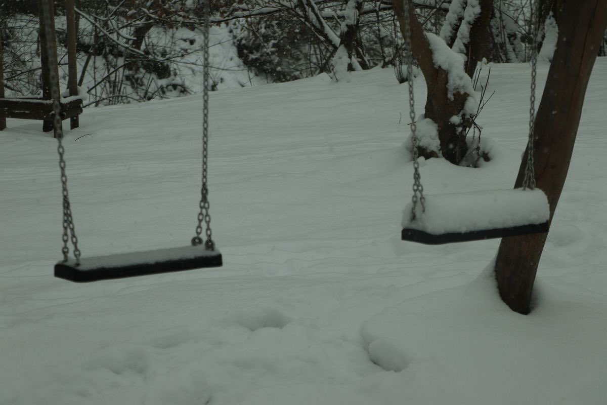 dreamland (@dreamland_usa) on Twitter photo 