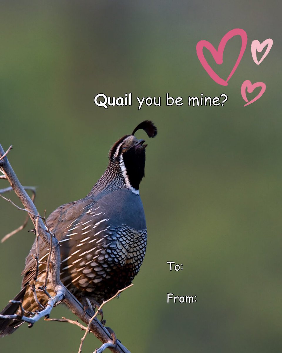 30x30 California tweet media