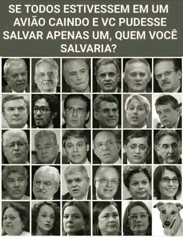 carvalho_harlen's tweet photo. https://t.co/ZAAPTXZ45W