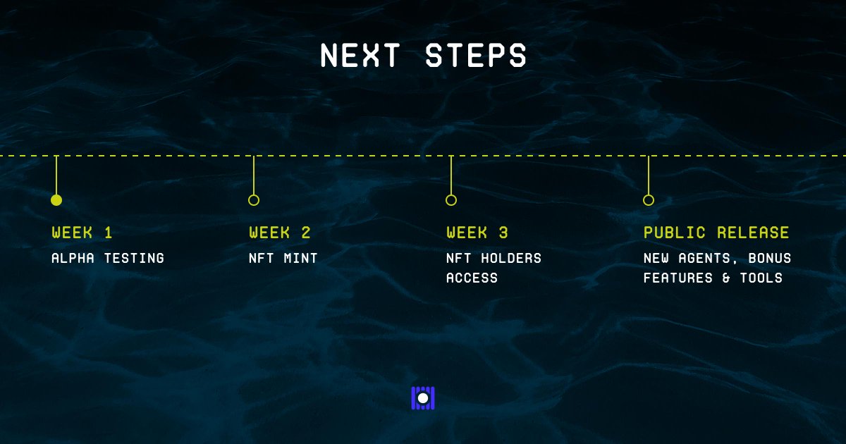 Dock Markets tweet media