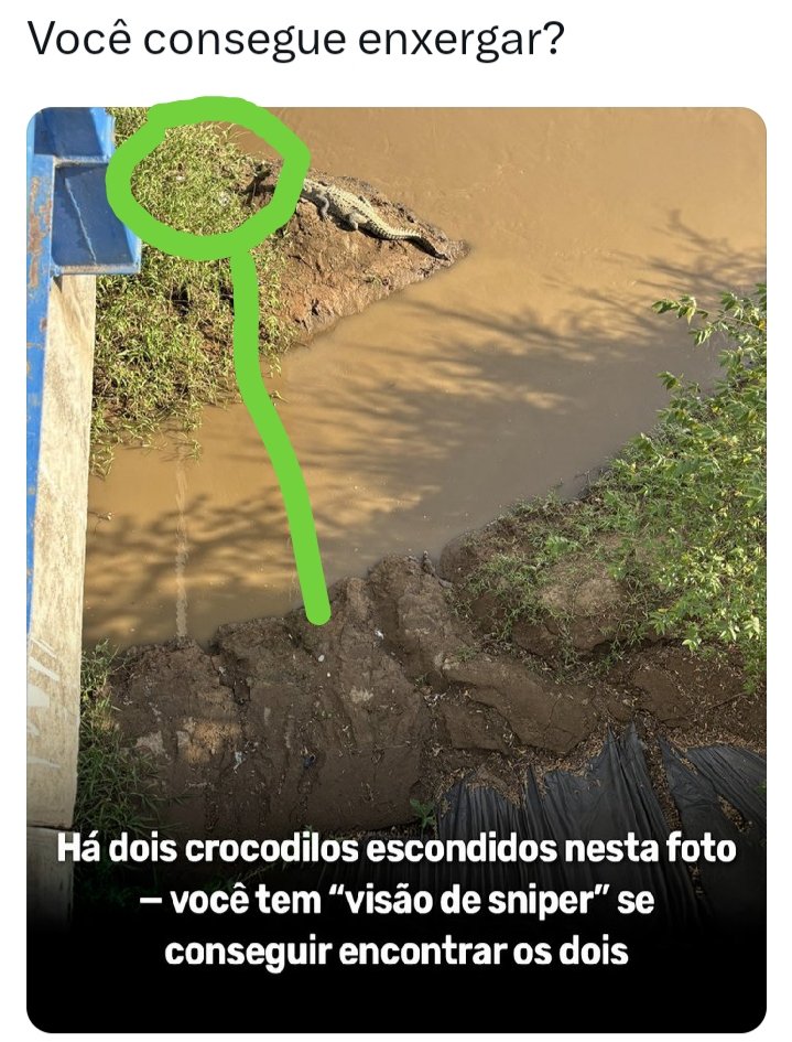 Latinha13's tweet photo. @misteriomundo Achei de primeira por causa do outro que está com a boca aberta 😅 https://t.co/ueH6DEmMid