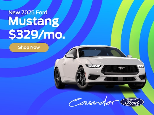 cavender_ford's tweet photo. Fall in love with great February savings at Cavender Ford. Find out how you can qualify: https://t.co/p3ULbJHJo2 https://t.co/pue82av3ql
