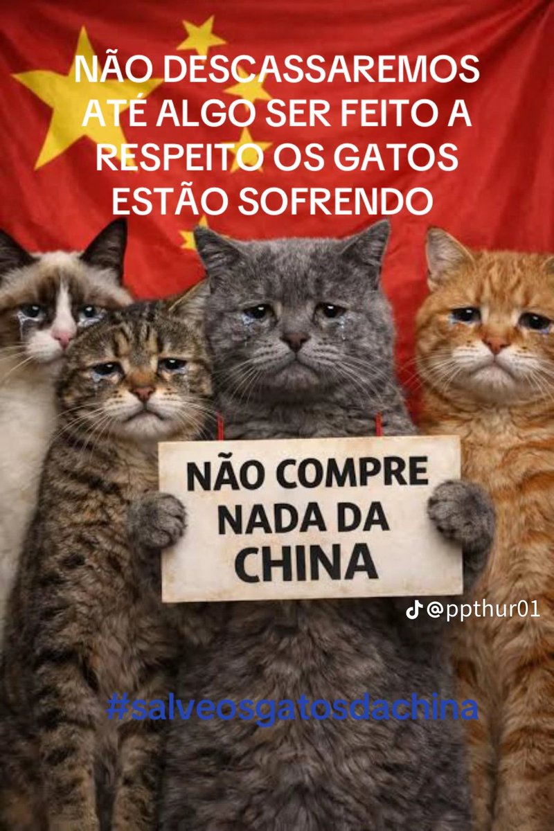 lola19803789's tweet image. BASTA DE CRUELDADE CONTRA ANIMAIS #STOPANIMALCRUELTY #justiceforanimals #China