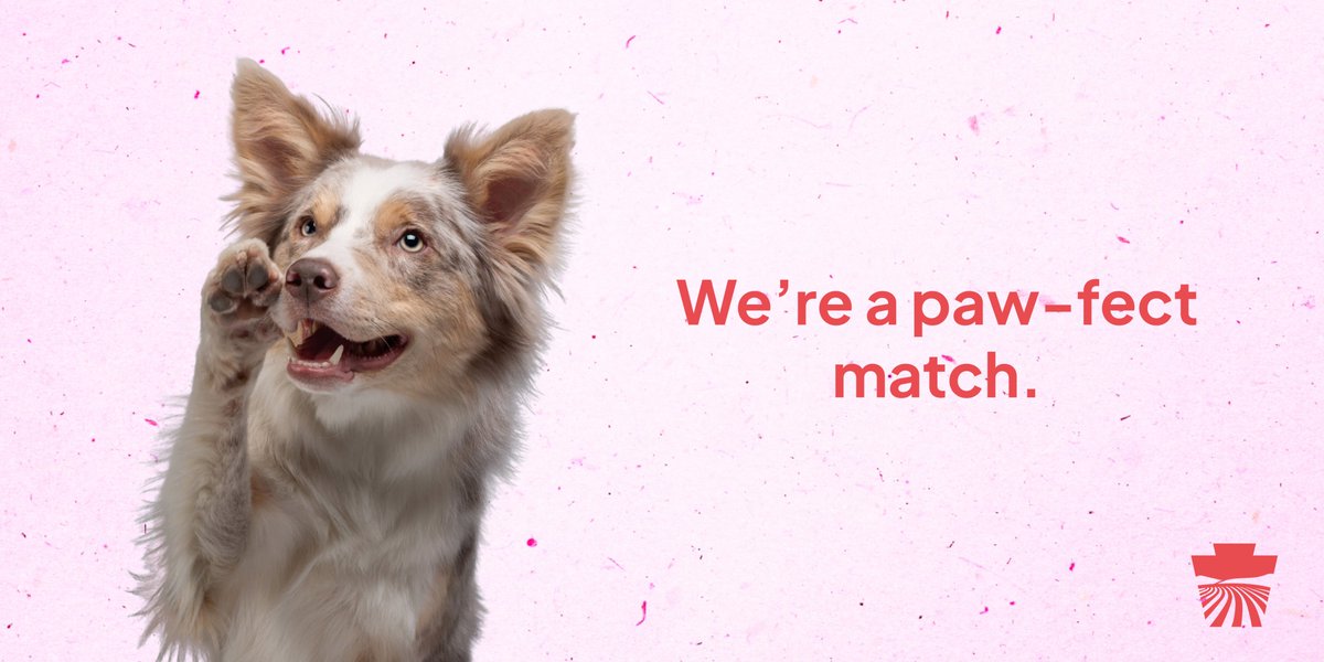 PAAgriculture's tweet photo. Love is in the air, and Valentine’s Day is the paw-fect time to celebrate the special bonds we share with our four-legged friends. 🐾❤️

Show your dog you care by getting them their 2026 license.

Apply: https://t.co/7NQqsAku7A

#ValentinesDay #LoveYourDogLicenseYourDog #PA4Paws https://t.co/5cmWXpKRSU