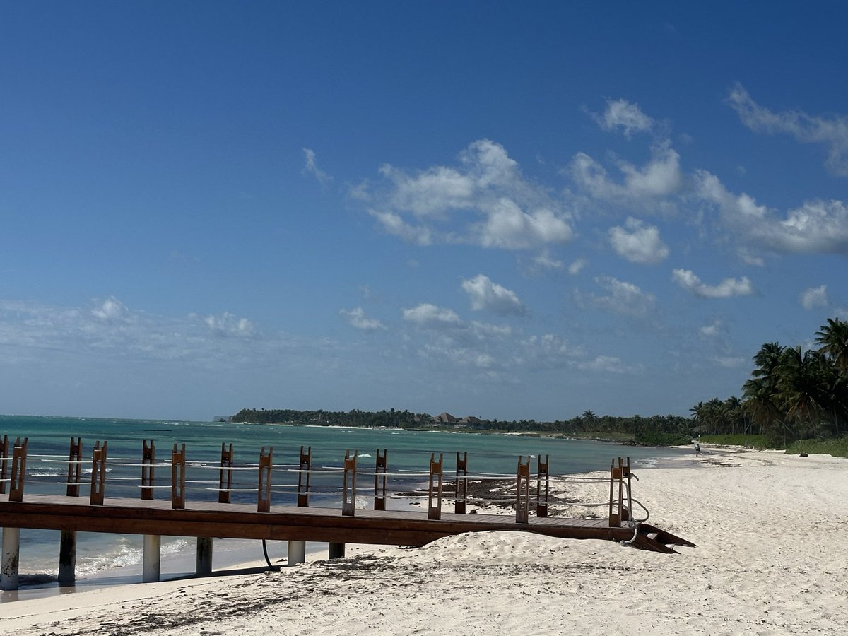 ZenChipshot's tweet image. Not a care in the world…