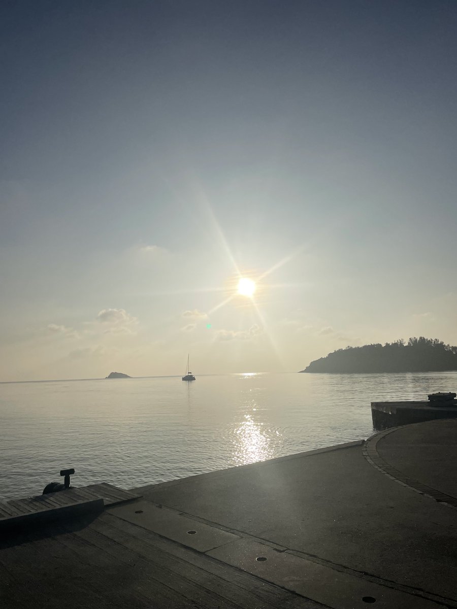 Tom Grant tweet media