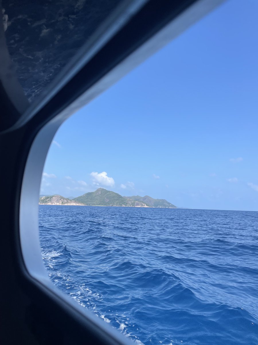 Tom Grant tweet media