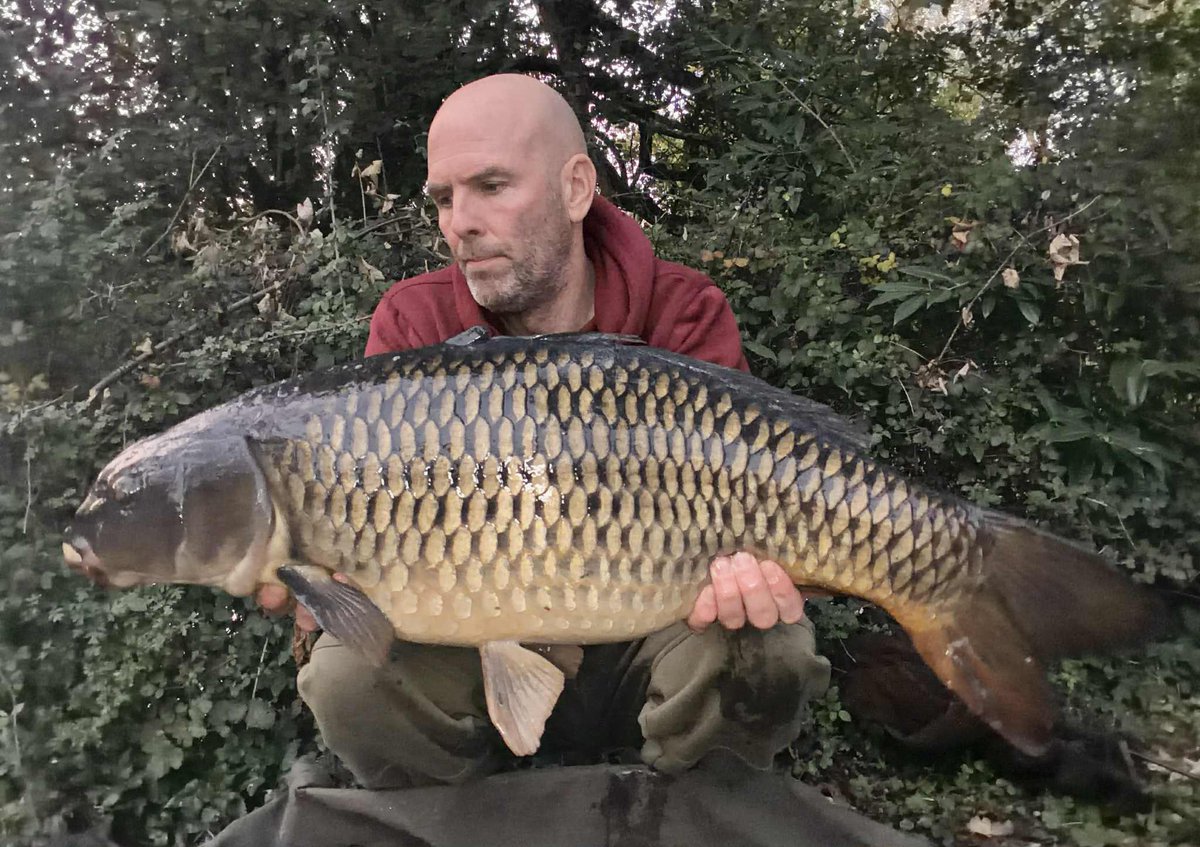 JimRawcliffe's tweet photo. Ok. Here come some results on the Hydracore.
Ross McKlintock poured half a bottle of it over a bucket of bait! Later that night he had this and four more! Since then he has become a regular user!!! Well done Ross and thanks for the pics.  Keep your shots coming please everyone. https://t.co/CAagJr7wdE