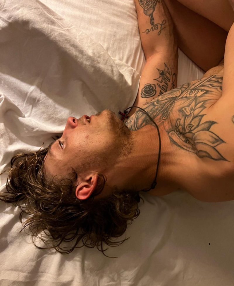 silverbrain tweet media