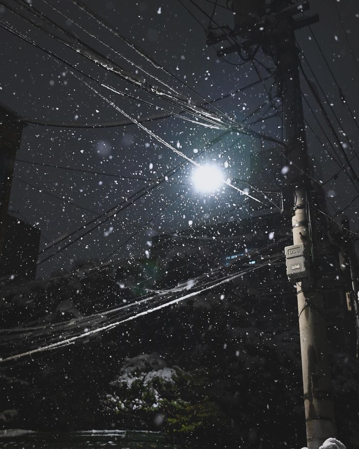 서리별 tweet media