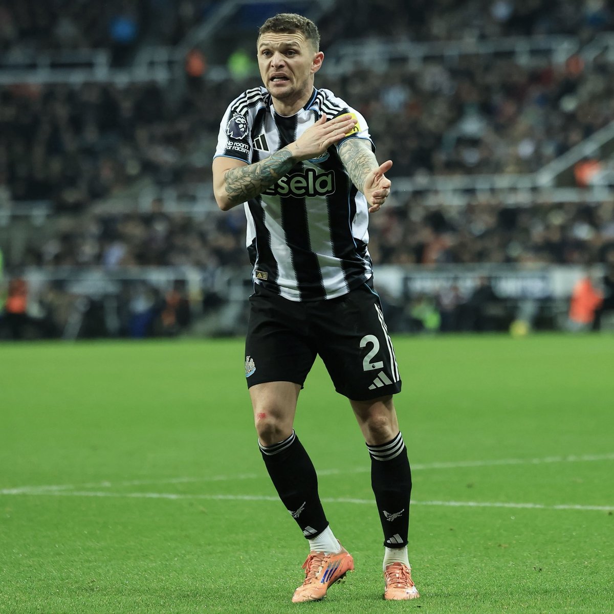 Andy Sixsmith tweet media