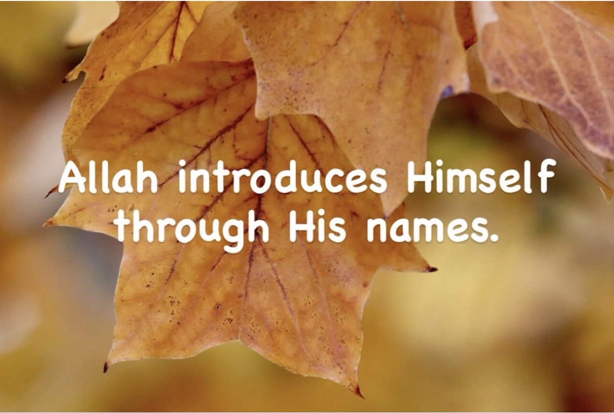 GuidedSoul111's tweet image. Each name of Allah reflects a quality — mercy, wisdom, justice, care.  Knowing God through His names helps believers build a personal connection with Him.

 #GuidedSoul #NamesOfAllah #KnowingGod #Islam #FaithJourney