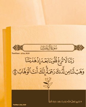 المجد tweet media