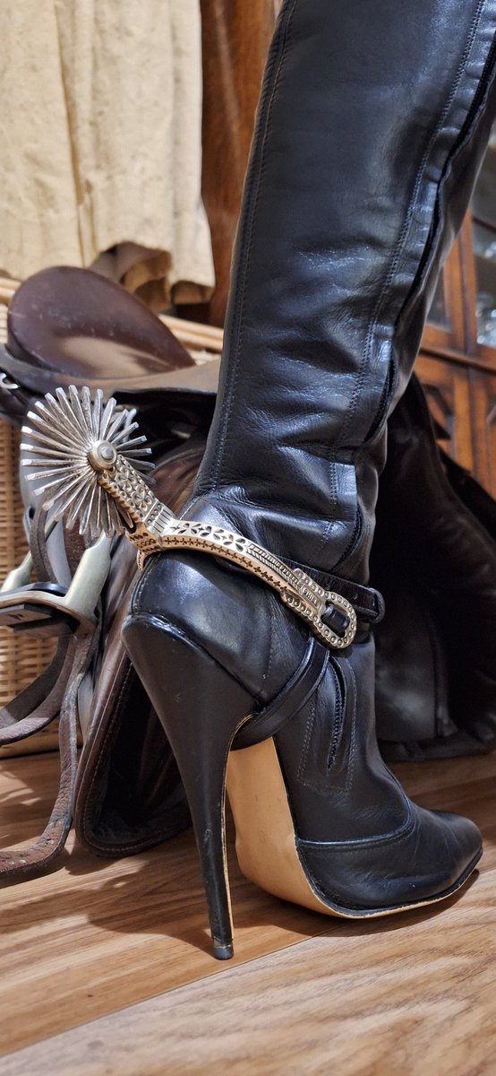 My vintage Chilean spurs  filed super sharp by My tame Artisan beast, are very good for keeping the mount in check when it becomes too frisky.