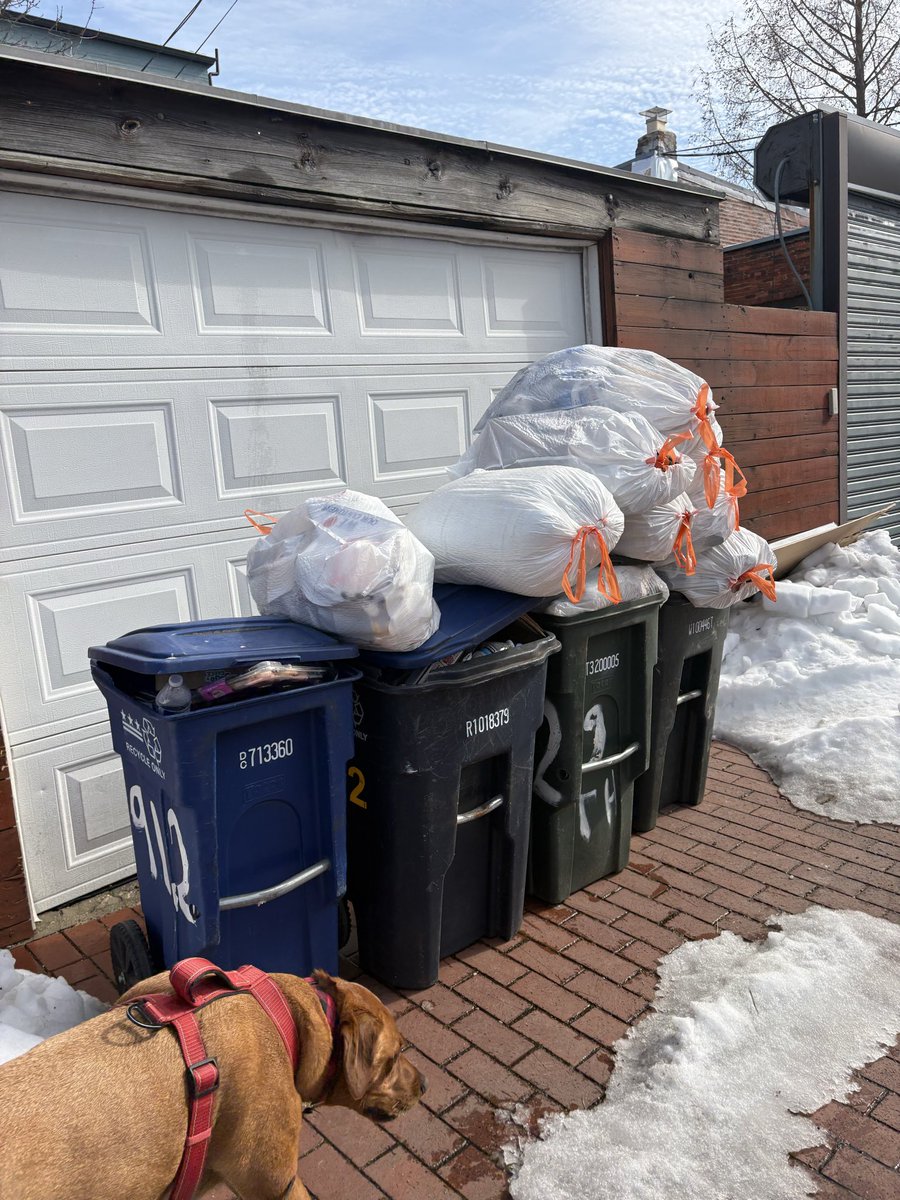 LACR0iX's tweet photo. I am begging you guys to stop saying trash pickup is back to normal and to call 311. My alley has not had trash or recycling pickup since mid January! We have been calling 311 for weeks @dcmayorsoffice @DCDPW @wusa9 https://t.co/uK9DylXvEv