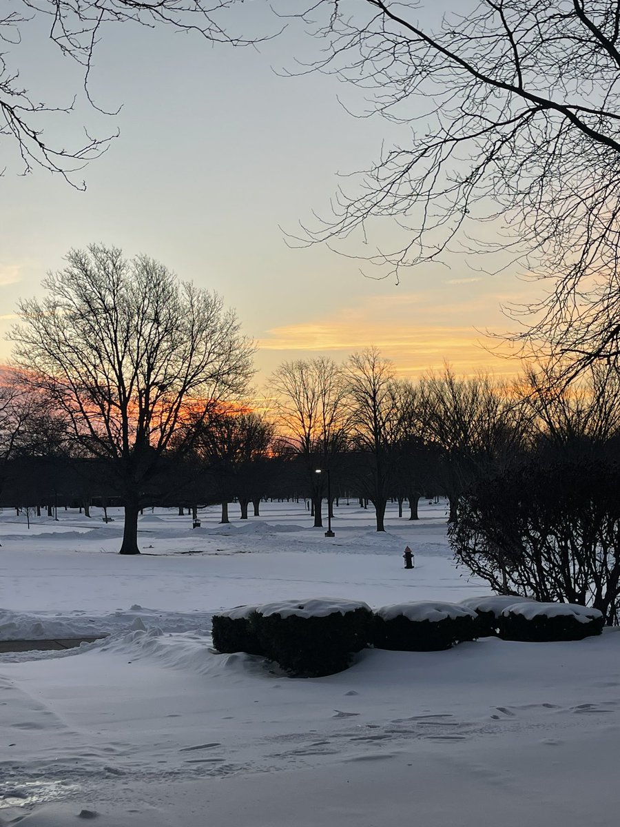 ONU Softball tweet media