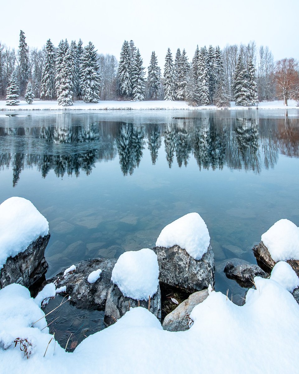Winter Reflections