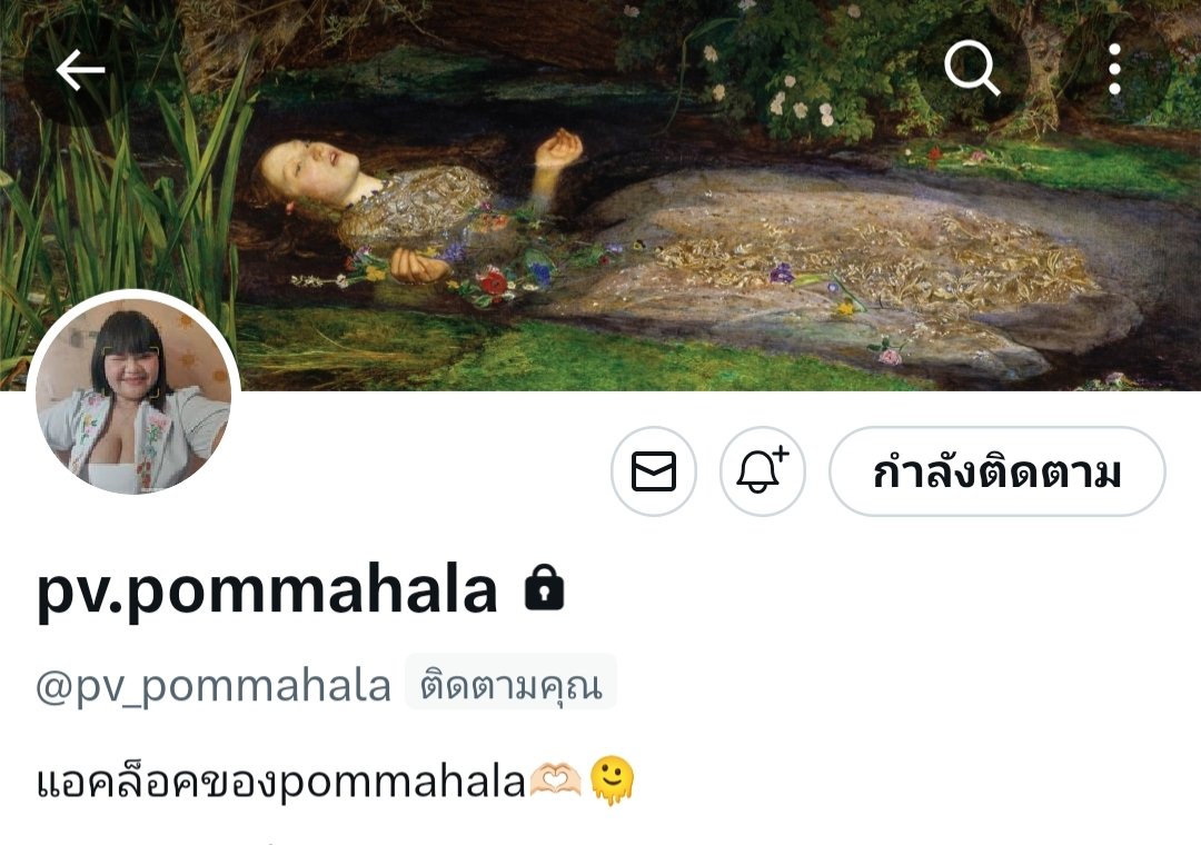 pommahala tweet media