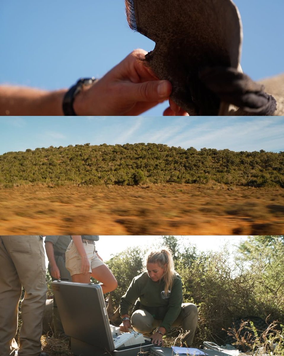 Dr Will Fowlds tweet media