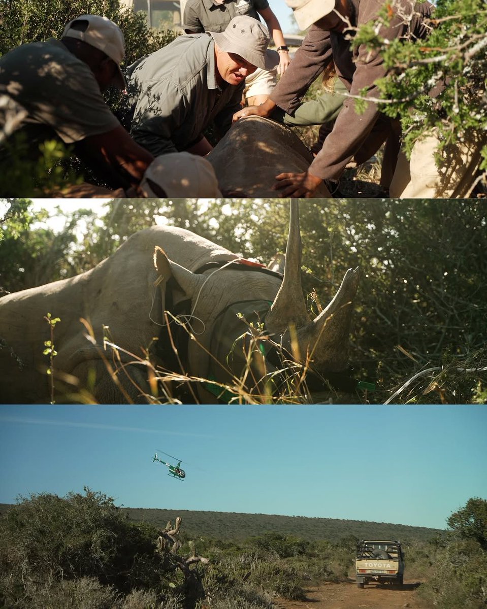 Dr Will Fowlds tweet media