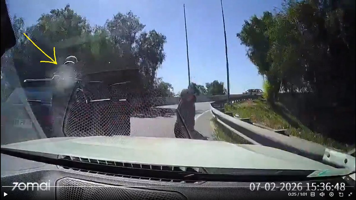 gemma🇨🇱 tweet media