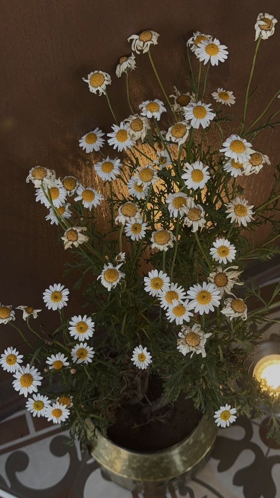 أَريـام tweet media