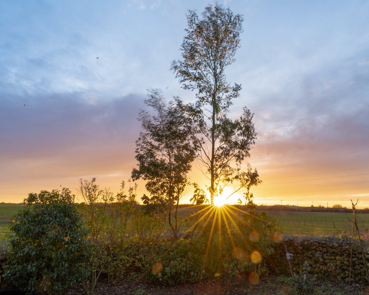 Gary Ward tweet media