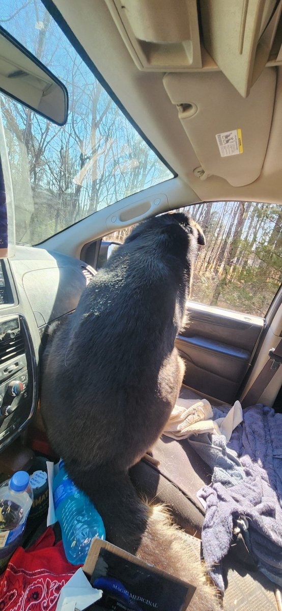 InkSwitch007's tweet image. Front view vs back view