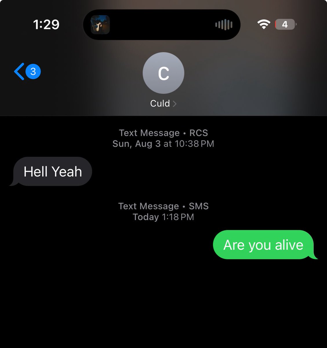 Regular degular fish (cait) #U tweet media