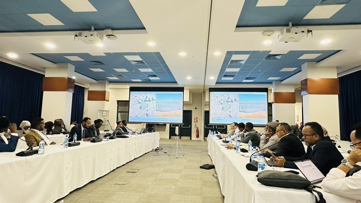 Plan International Somalia/Somaliland tweet media