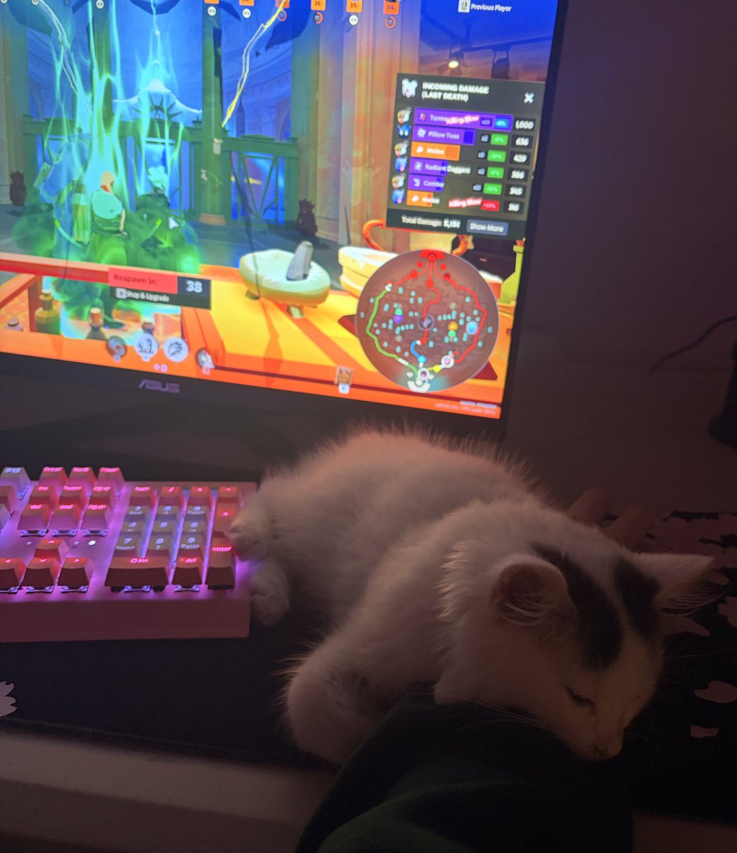 punkqween tweet media