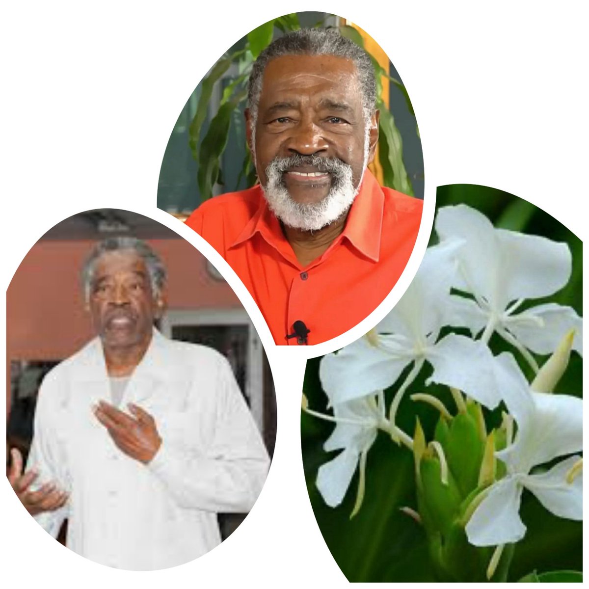 Un gran actor, compañero, ha fallecido, en su voz y actuación trasmitió firmeza y bondad; un artista revolucionario que en cada encuentro enseñó valores humanos. Querido Alden Knigth James, siempre lo recordaremos. Nuestras condolencias a familiares y amigos. #CubaEsCultura