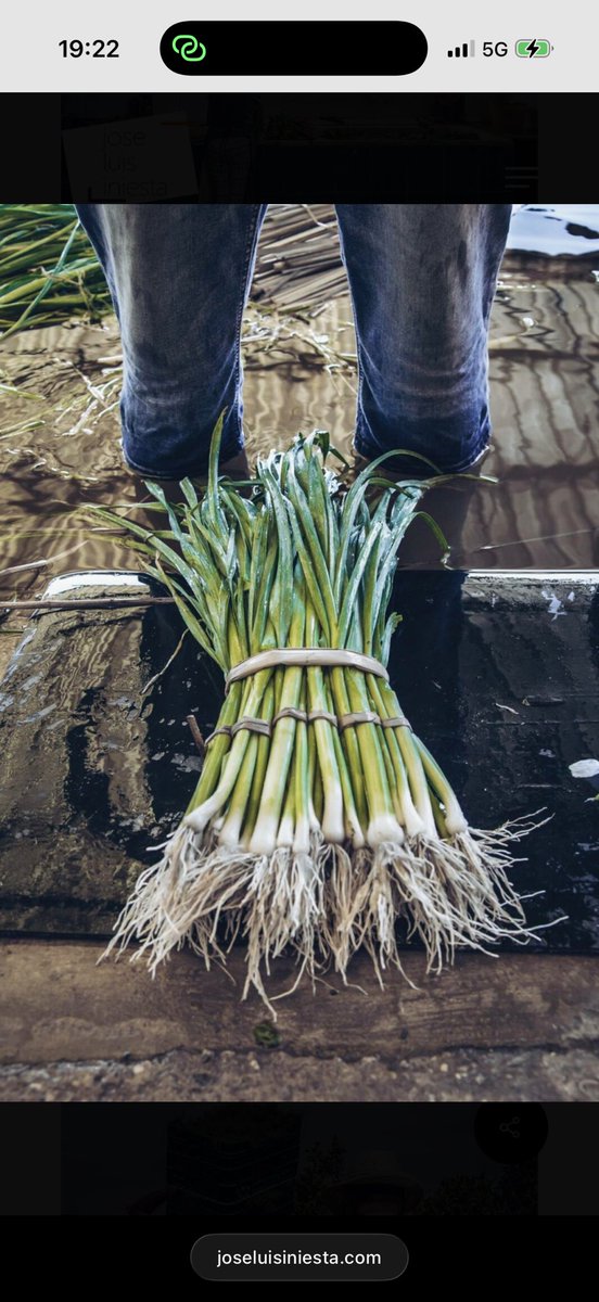 Fa molts segles, quan València encara estava envoltada d’horta i séquies, els llauradors entraven a la ciutat amb els seus carros carregats de verdures. Venien a vendre allò que ells mateixos havien cultivat, sense intermediaris ni enganys. Es col·locaven en fila, una tira