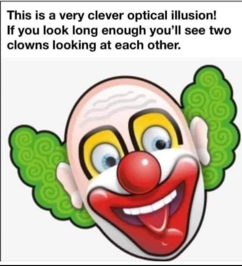 XL BULLY tweet media