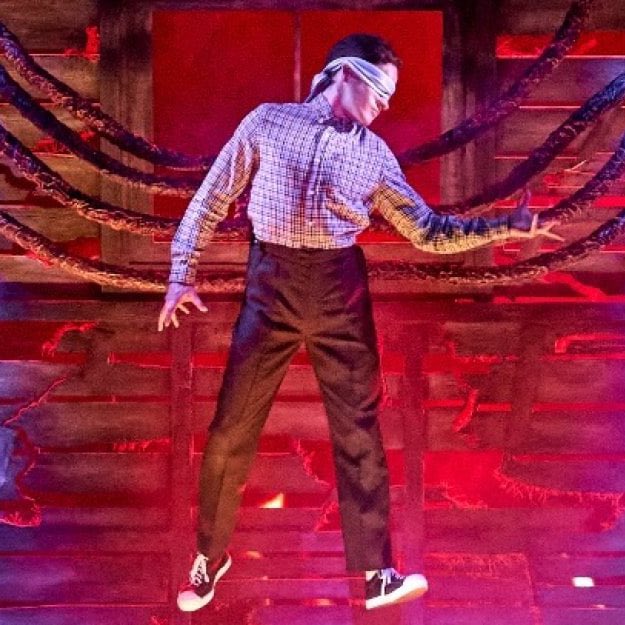 SThingsSpoilers's tweet image. REPORT: Netflix is set to release a professionally filmed version of the stage show #StrangerThings: The First Shadow.