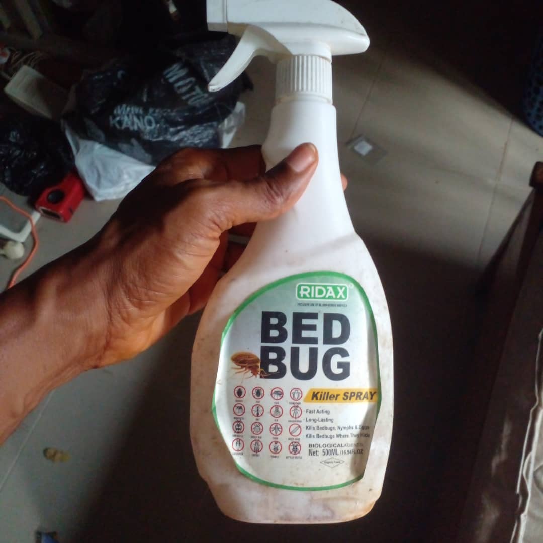 Peewee_chiejile's tweet photo. @eezywizzy5 Use this insecticides in comes in 2 bottles like ₦15,000...kills and dries their eggs https://t.co/gKlkNLxRU2