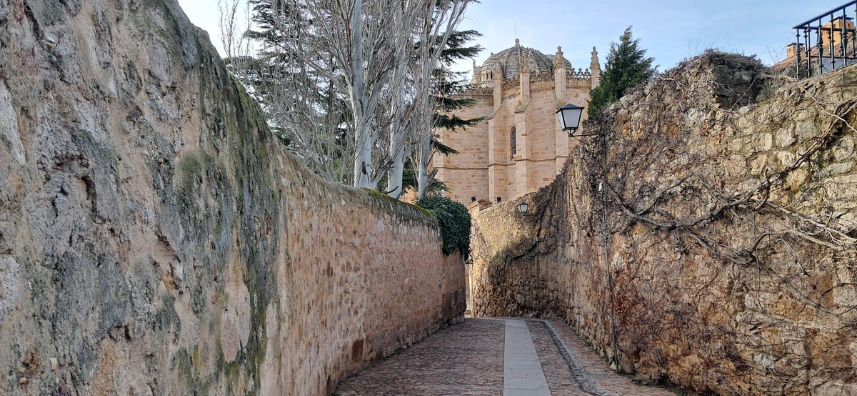 Pucenatu tweet media