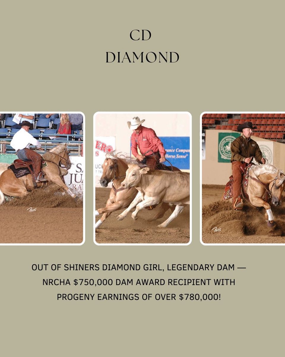 CD DIAMOND tweet media