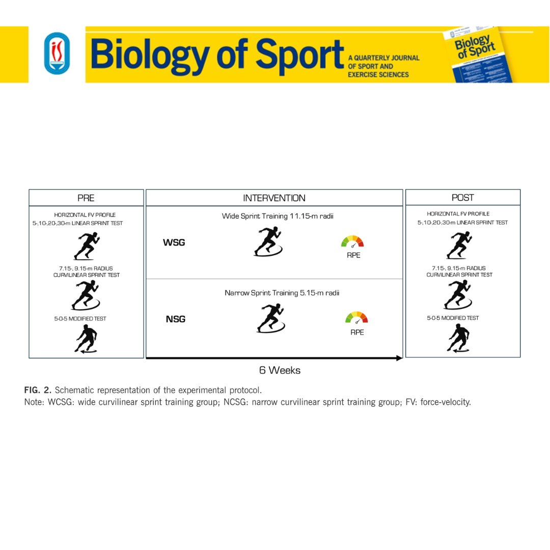 Biology of Sport tweet media