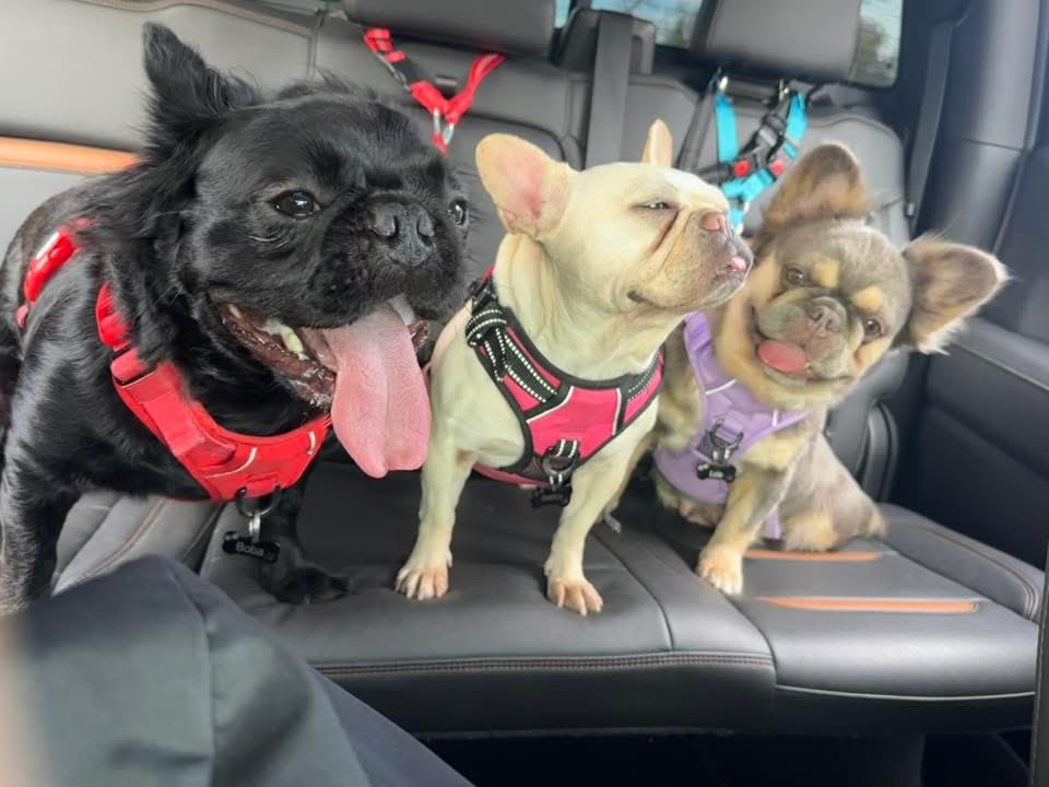 Cody Lee tweet media