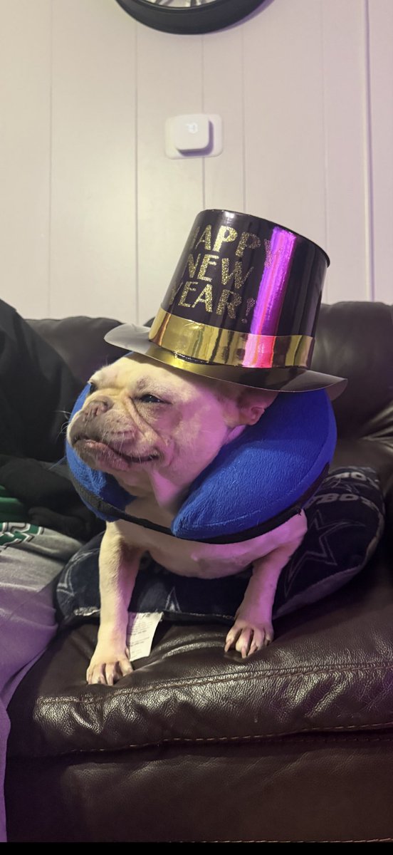 Cody Lee tweet media