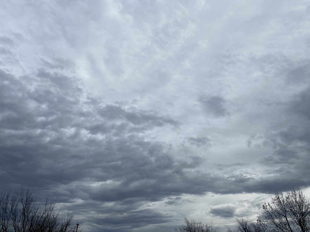 ShangrilaQuest's tweet image. Gracing your timeline with beautiful skies... 🌞💕🫶🏻

#Cloud #StormCloud