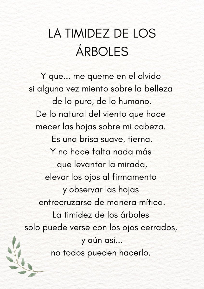 Liam Ramirez tweet media