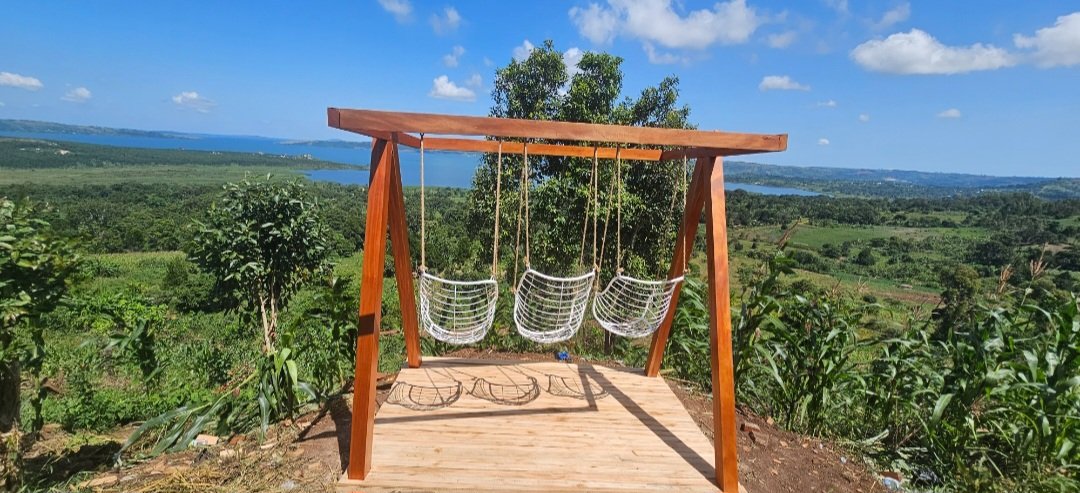 Kazibwe Bashir Mbaziira tweet media