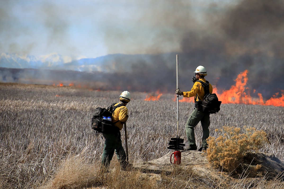 USWFS's tweet image. The U.S. Wildland Fire Service represents a historic modernization of wildfire management within the @Interior. 

By unifying wildland fire management across @BIAFireForestry, @BLMFire, @FireAviationNPS, Office of Aviation Services, @DOIWildlandFire, and @USFWSFire, the Interior